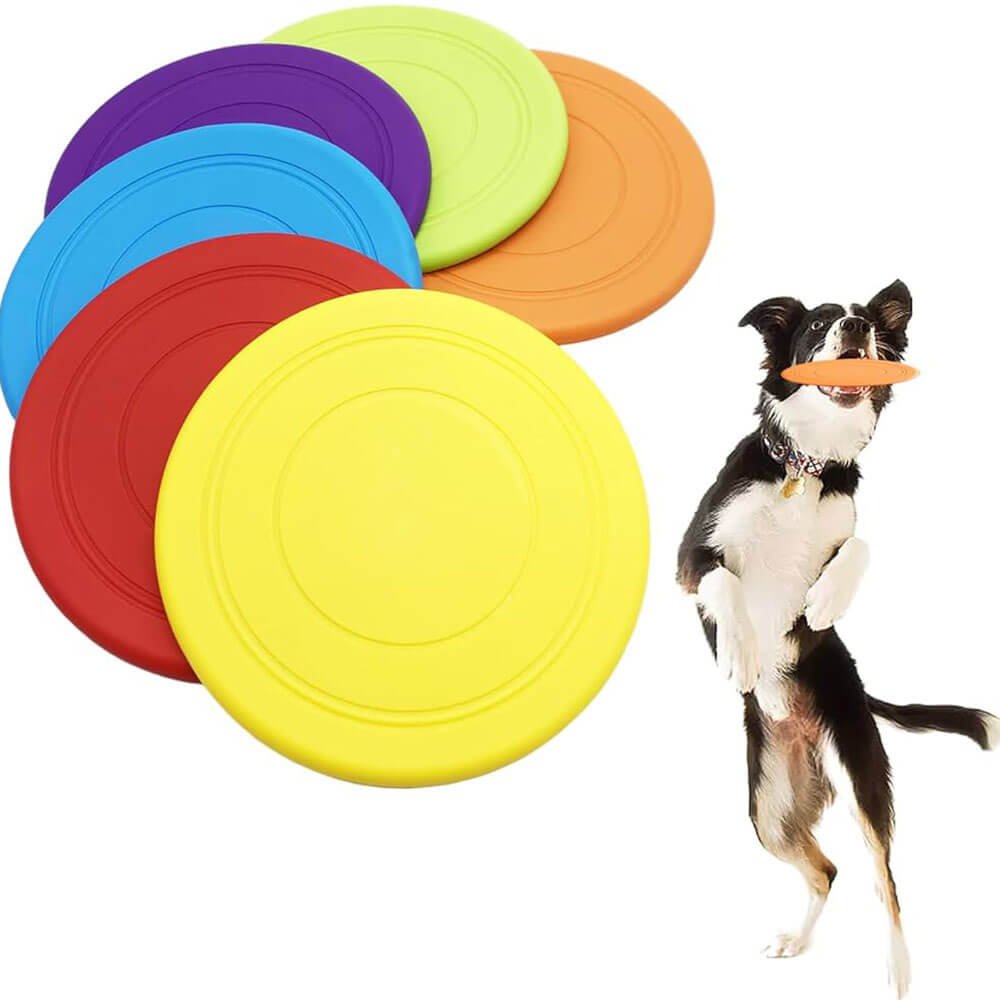 dog frisbee