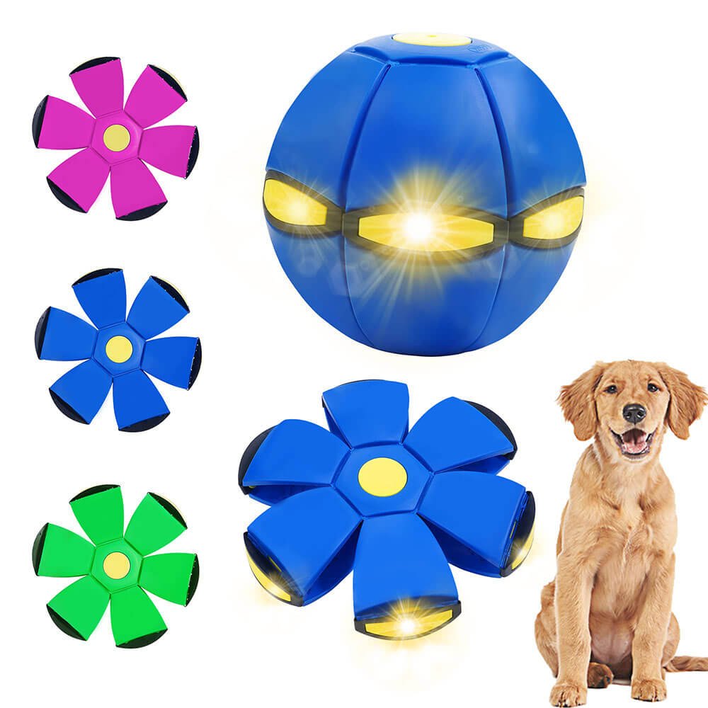 flying saucer ball dog toy