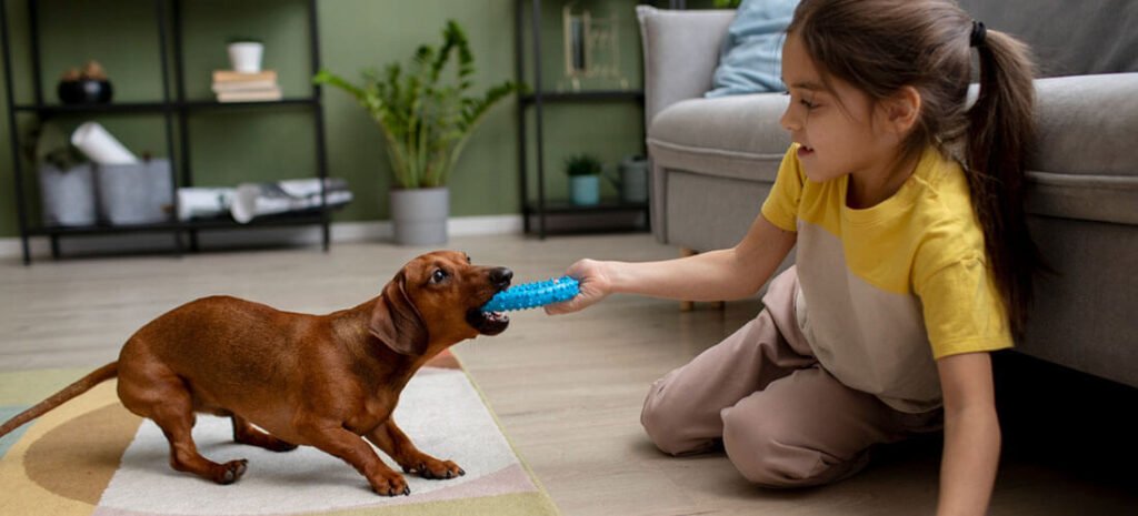 interactive dog toys